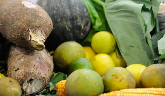 Agrotóxicos: 25% dos alimentos de origem vegetal no país têm resíduos(Foto: Fernando Frazo/AB)