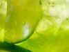 Gim-tônica de maçã verde(Foto: Nilo Biazzetto )