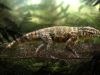 Apresentado fóssil de crocodilo encontrado em Minas Gerais(Rodolfo Nogueira/UFTM)