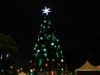 Quando devemos começar a montar a árvore de Natal em 2018?(Foto: Heloisa Ballarini / Secom/ PMSP)