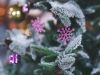 Quatro tendências de decoração para o Natal de 2018(Foto: Karolina Grabowska ? Pexels.com)