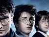 Saga de Harry Potter completa 20 anos no Brasil(Foto: Divulgação )