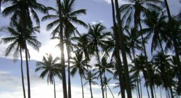Brasil &eacute; quarto pa&iacute;s que mais ampliou turismo internacional(Foto: Arquivo UN)