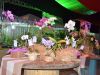 São Gonçalo do Rio Abaixo sedia 1ª Exposição de Orquídeas(Divulgao Acom/PMSGRA)