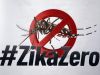 Saiba o que é boato e o que é verdade sobre o vírus Zika(Foto: Divulgao )
