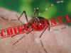 João Monlevade registra um caso de febre chikungunya(Divulgao)