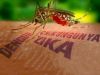 Minas tem 1,6 milhão de imóveis com as portas fechadas para o combate ao Aedes(Divulgao)