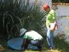 Notificações de dengue em João Monlevade chegam a 813 casos(Arquivo UN)