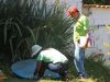 Notificações de dengue em João Monlevade ultrapassam 1.700 casos(Arquivo UN)