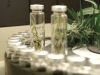 Anvisa aprova regras para registro de remédio à base de maconha(Foto: Divulgao)