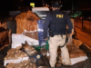 PRF encontra meia tonelada de maconha em caminhão na BR-381(Foto: Divulgao/PRF)