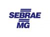 Sebrae abre 80 vagas para Agentes Locais de Inovação (ALI) em Minas Gerais(Foto: Divulgao )