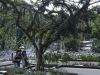 Jardim Botânico do Rio inaugura serviço de visita guiada em carrinho(Foto: Tomaz Silva/AB)