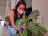 São Gonçalo não registra casos de dengue e LIRA é de 1,5(Foto: Nvea Martins/AcomPMSGRA)