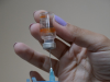 Vacinação será retomada segunda com reforço de Janssen e segunda dose de Astrazeneca e Coronavac(Foto: Srgio Henrique Braga/Acom PMJM)
