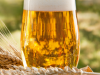 Minas concede Tratamento Tributário Setorial para cervejarias(Foto: Divulgao/SEF)