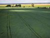 IBGE estima safra recorde de 263 milhões de toneladas em 2022(Foto: Wenderson Araujo/CNA)