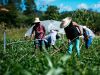 Instituto CENIBRA: 20 anos e milhares de histórias de vidas  transformadas(Foto: Divulgao/CENIBRA)