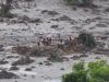 Novo acordo no caso Samarco emperra(Foto: Antonio Cruz/AB)