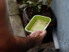 Chikungunya traz preocupações após uma década de presença no Brasil(Foto: Fernando Frazo/AB)
