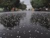 Minas tem alerta para tempestades, vendavais e granizo até quarta (24)(Foto: Divulgao )