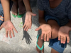 ONG alerta para alta do trabalho infantil entre crianças de 5 a 9 anos(Foto: Divulgao/Ministrio do Trabalho)