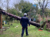 Sul, Sudeste e Centro-Oeste t&ecirc;m alerta para tempestades e vendavais(Foto: Divulga��o/Defesa Civil POA )